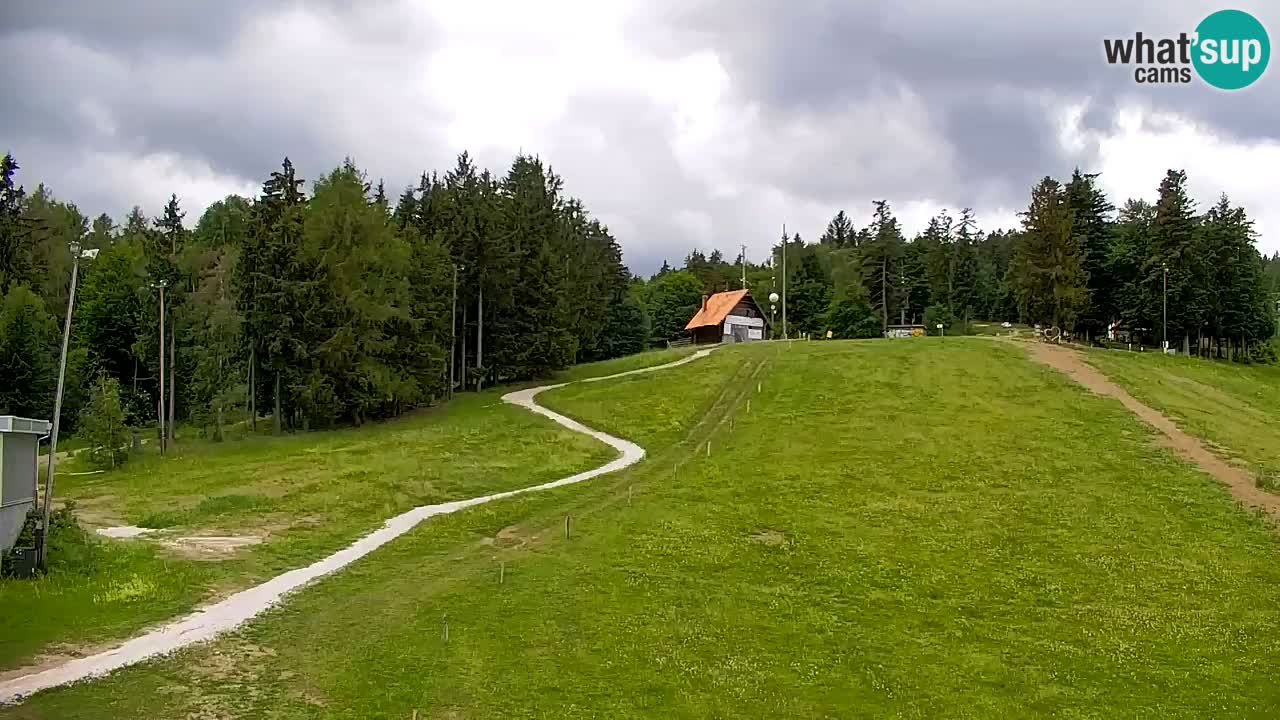 Webcam Pohorje | Station Sleme