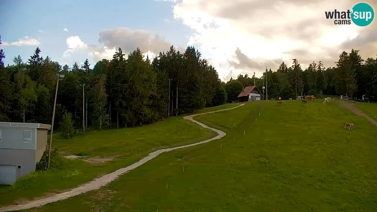Webcam Pohorje | Station Sleme