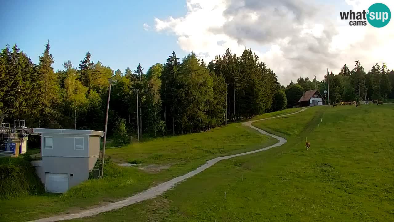 Webcam Pohorje | Station Sleme
