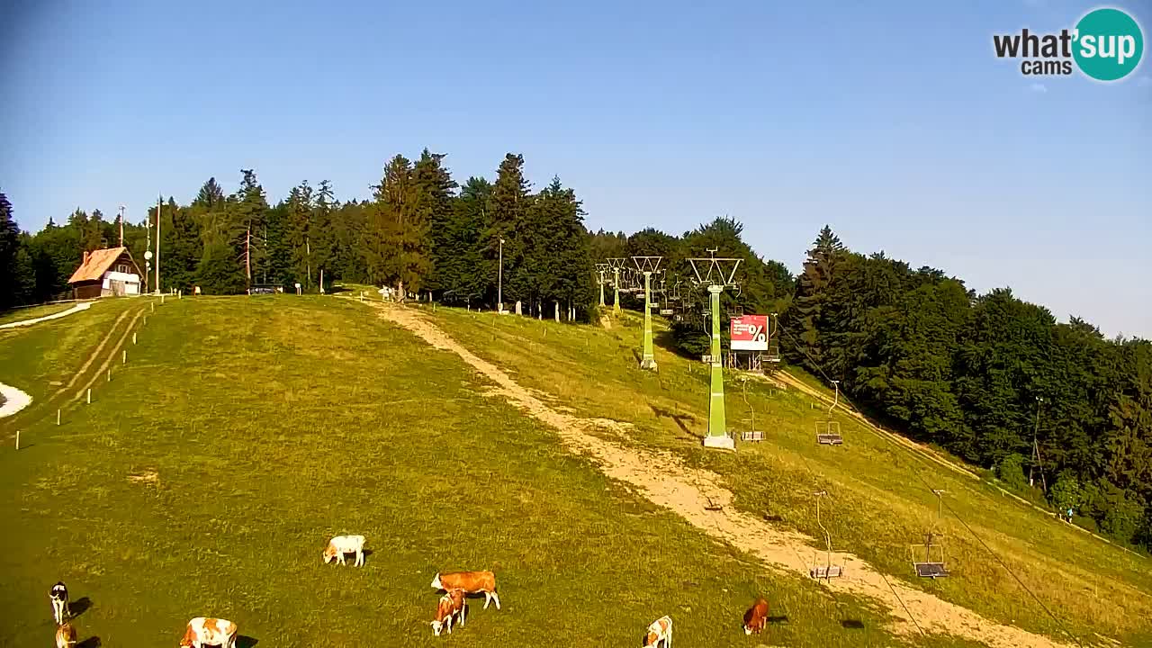 Pohorje spletna kamera | Spodnja postaja Sleme