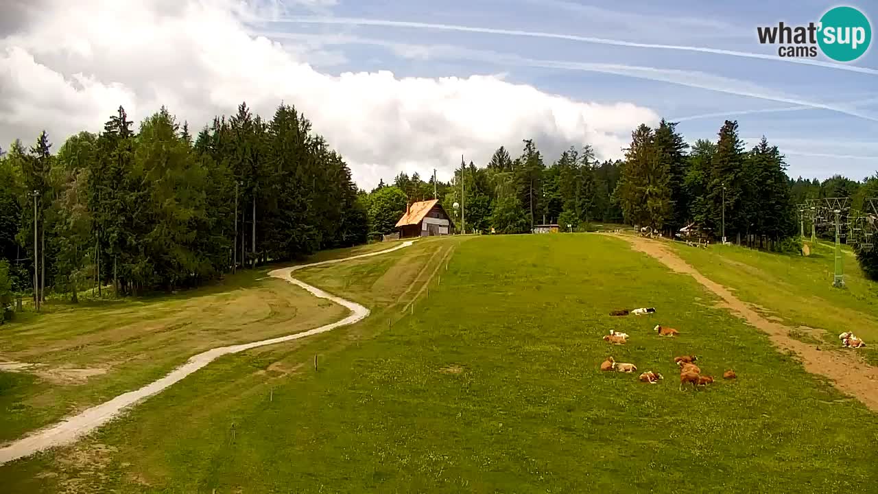 Webcam Pohorje | Estación Inferior de Sleme