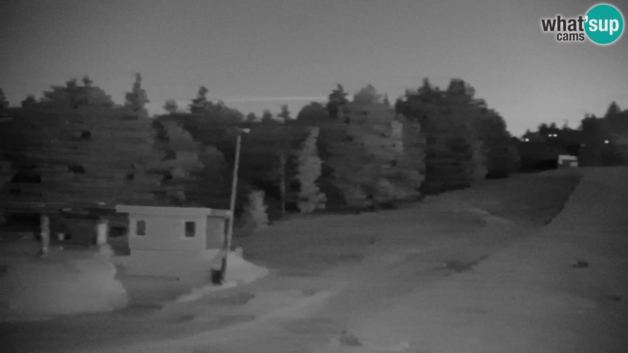 Webcam Pohorje | Station Sleme