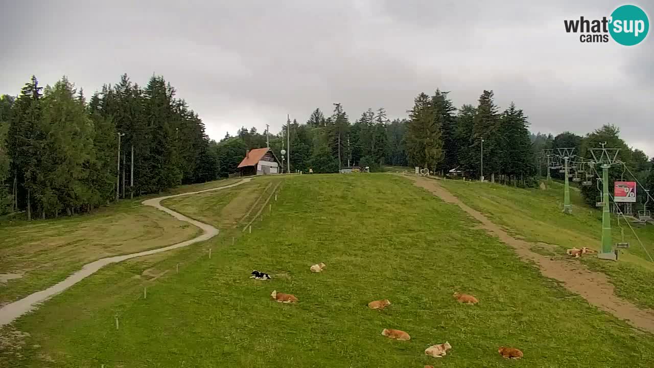 Pohorje Webcam | Sleme Talstation