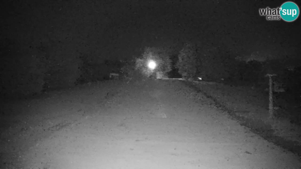Pohorje Web kamera | Sleme Donja Stanica