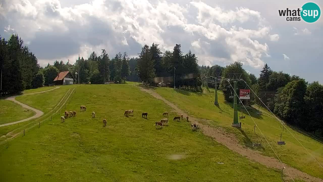 Pohorje Web kamera | Sleme Donja Stanica