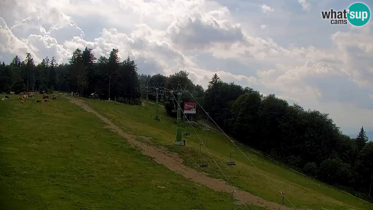 Pohorje Webcam | Sleme Talstation