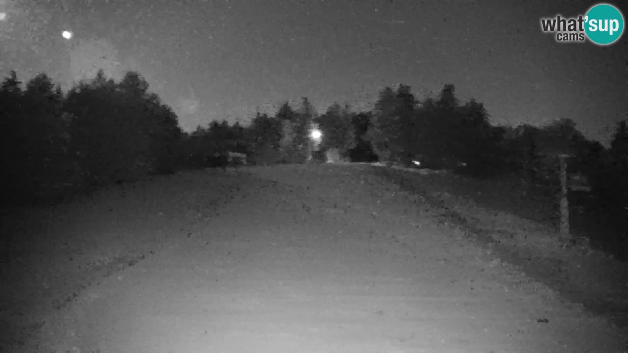 Pohorje webcam | Sleme lower station