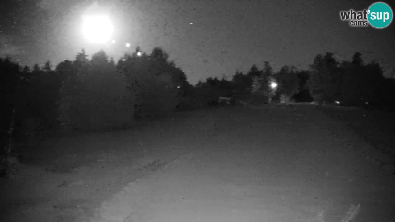 Webcam Pohorje | Stazione Inferiore Sleme