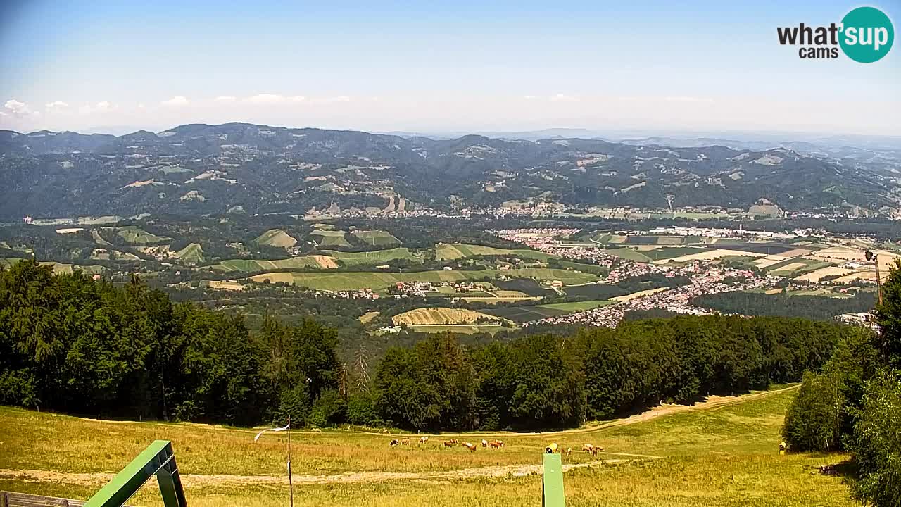 Webcam Pohorje | Station Sleme