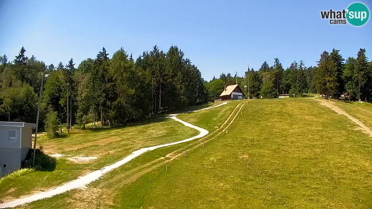 Pohorje Webcam | Sleme Talstation