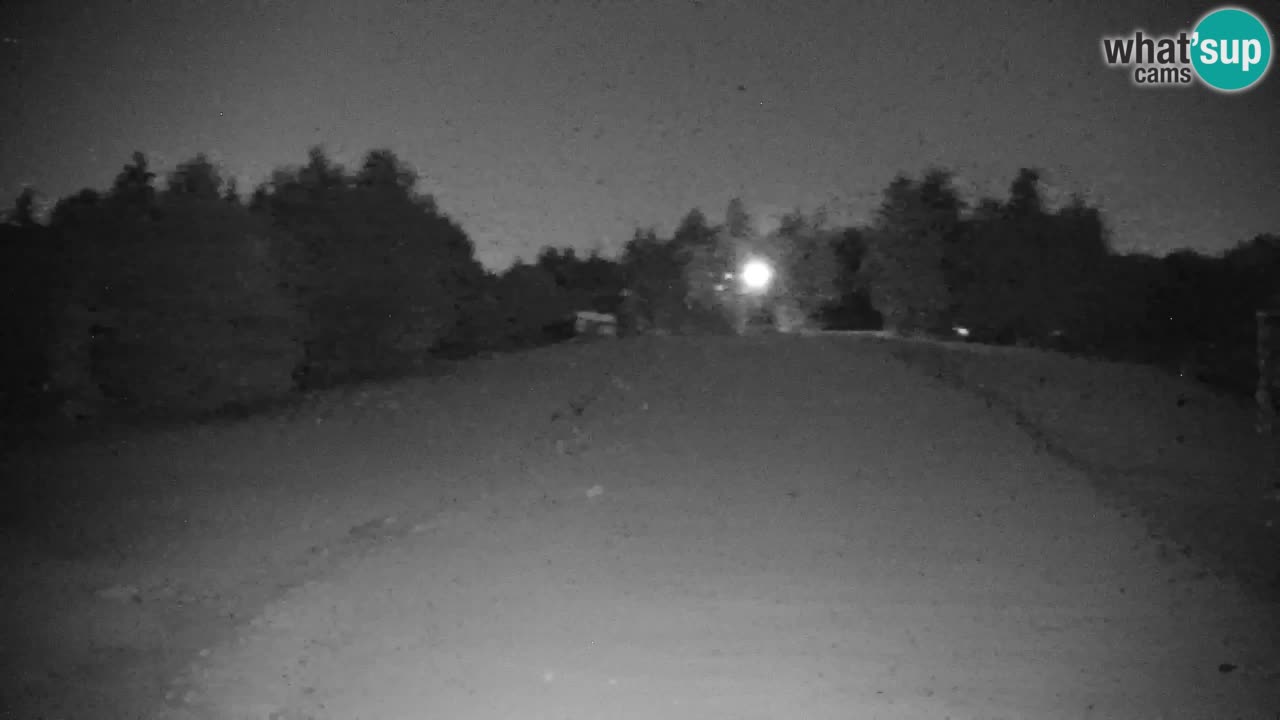 Webcam Pohorje | Stazione Inferiore Sleme