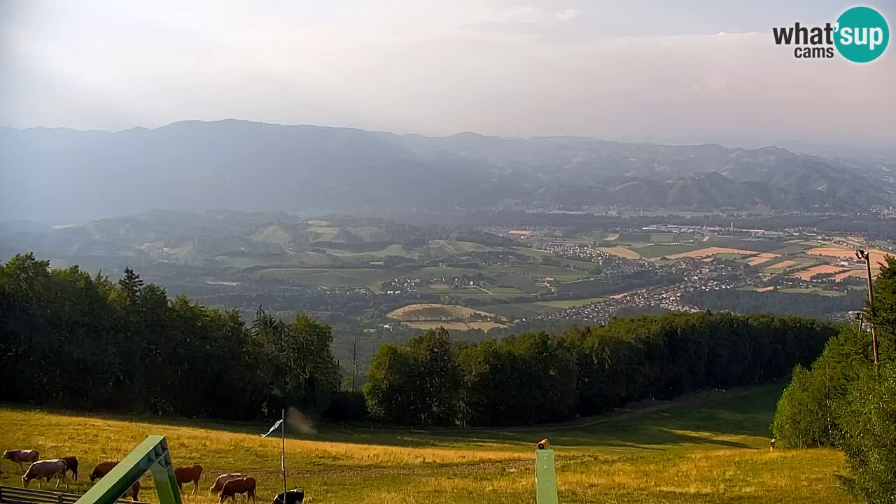 Webcam Pohorje | Stazione Inferiore Sleme