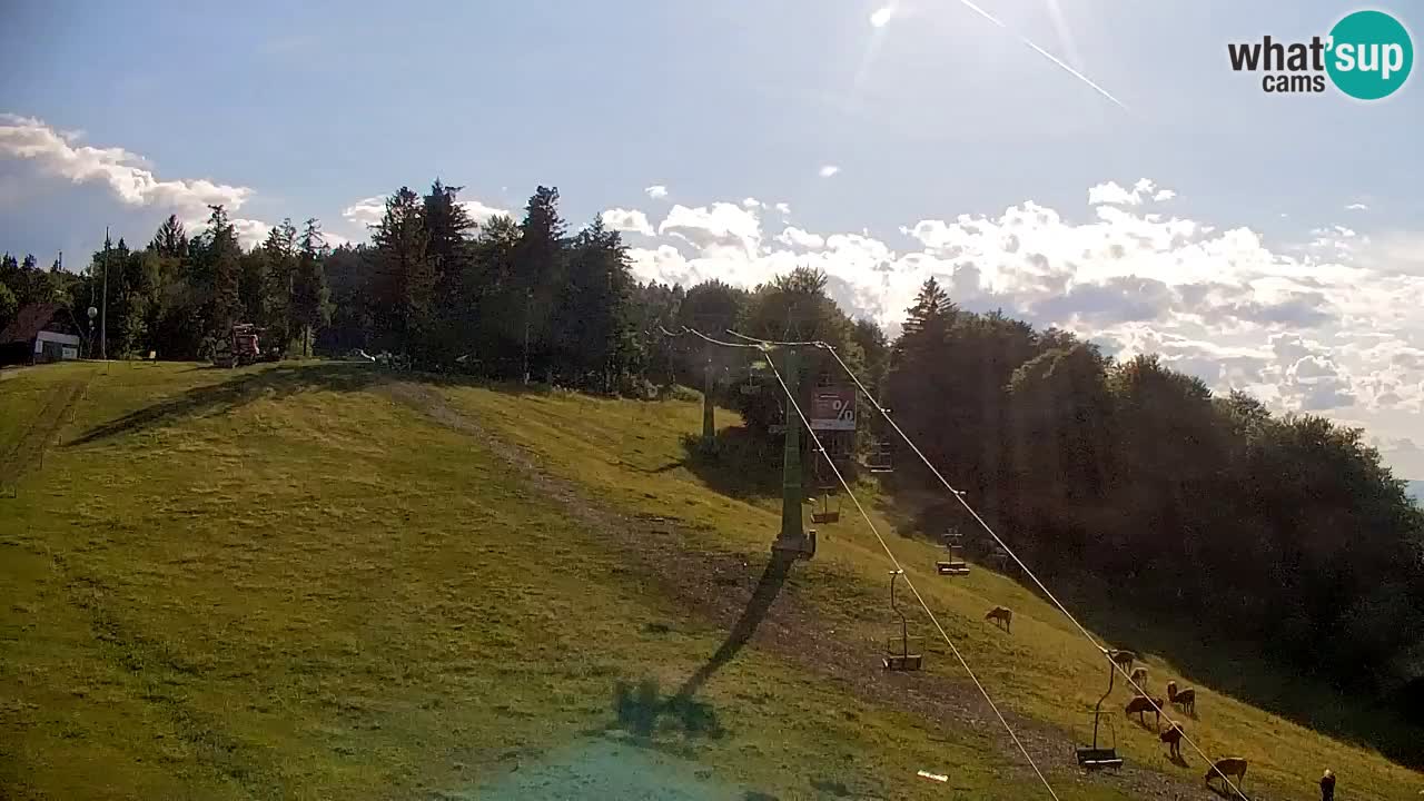 Webcam Pohorje | Stazione Inferiore Sleme