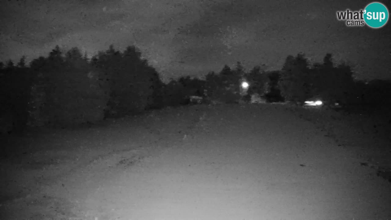 Pohorje Webcam | Sleme Talstation