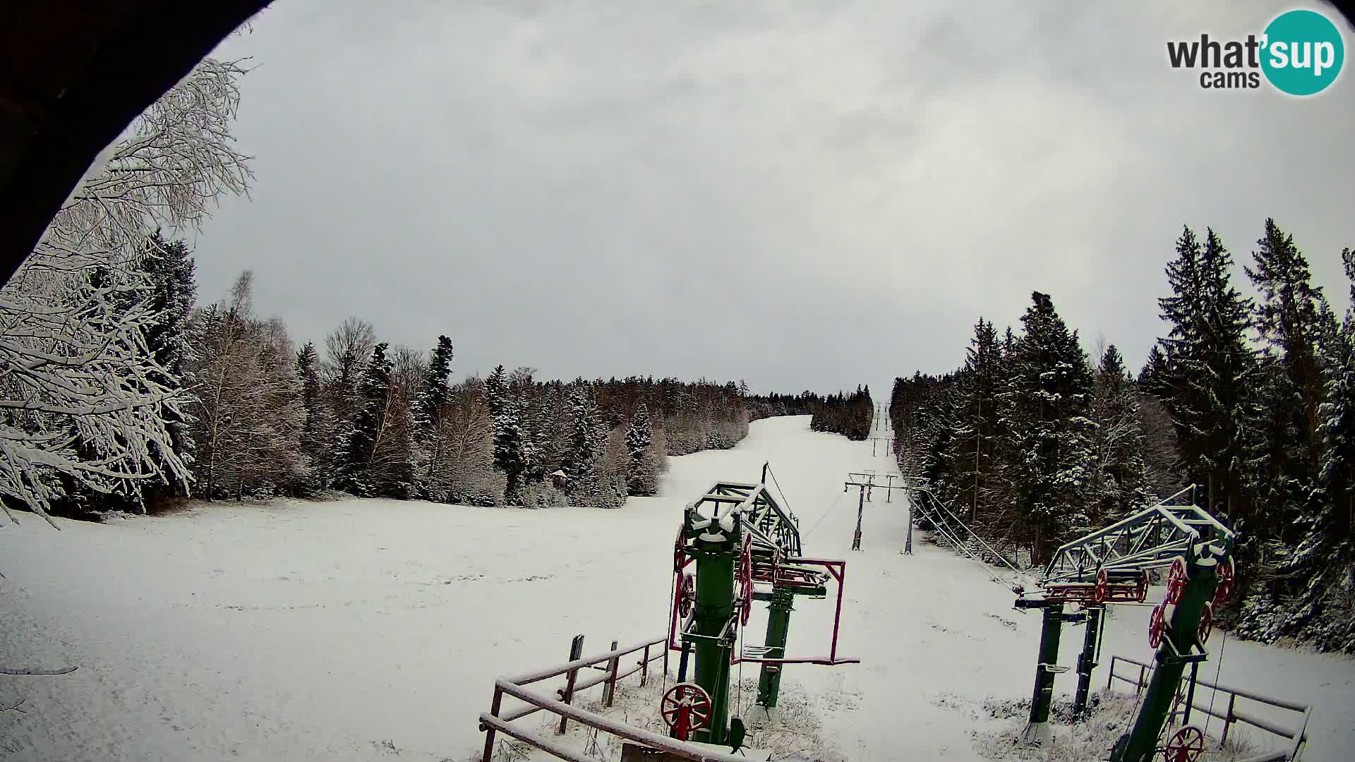 SKI Pohorje | Partizanka Lower Station