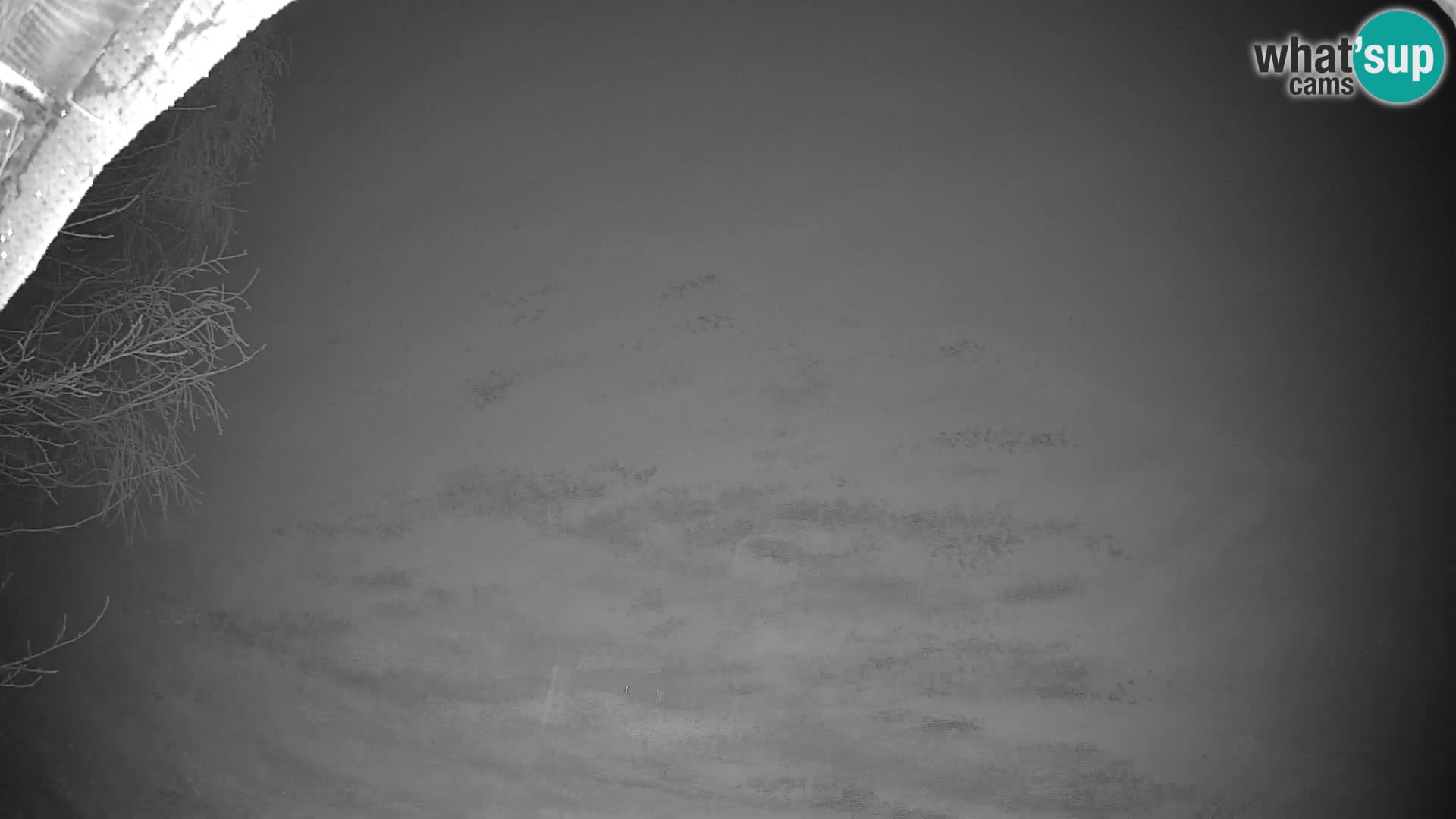 SKIJANJE Pohorje | Donja stanica Partizanka