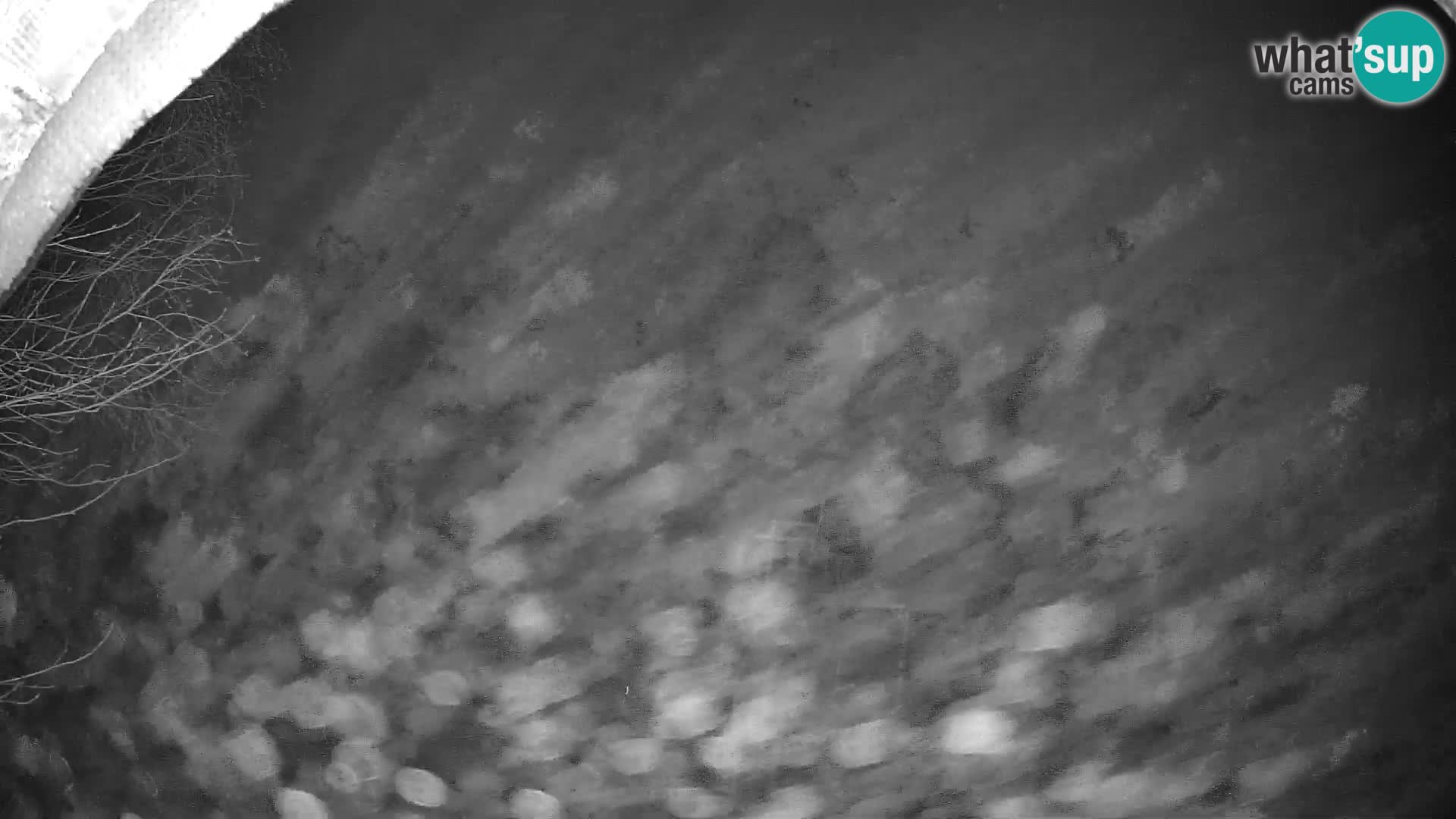 SKI Pohorje | Partizanka Lower Station