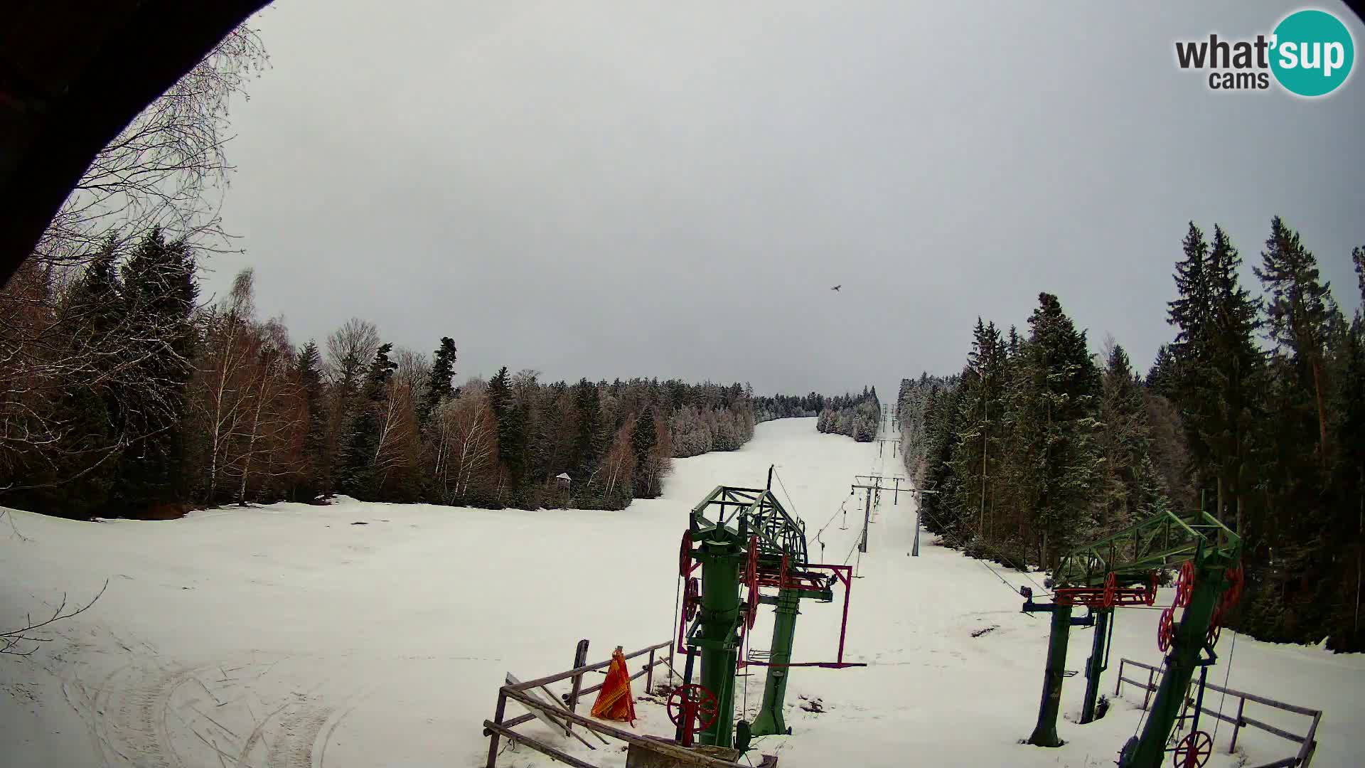 SKI Pohorje | Unterer Bahnhof Partizanka