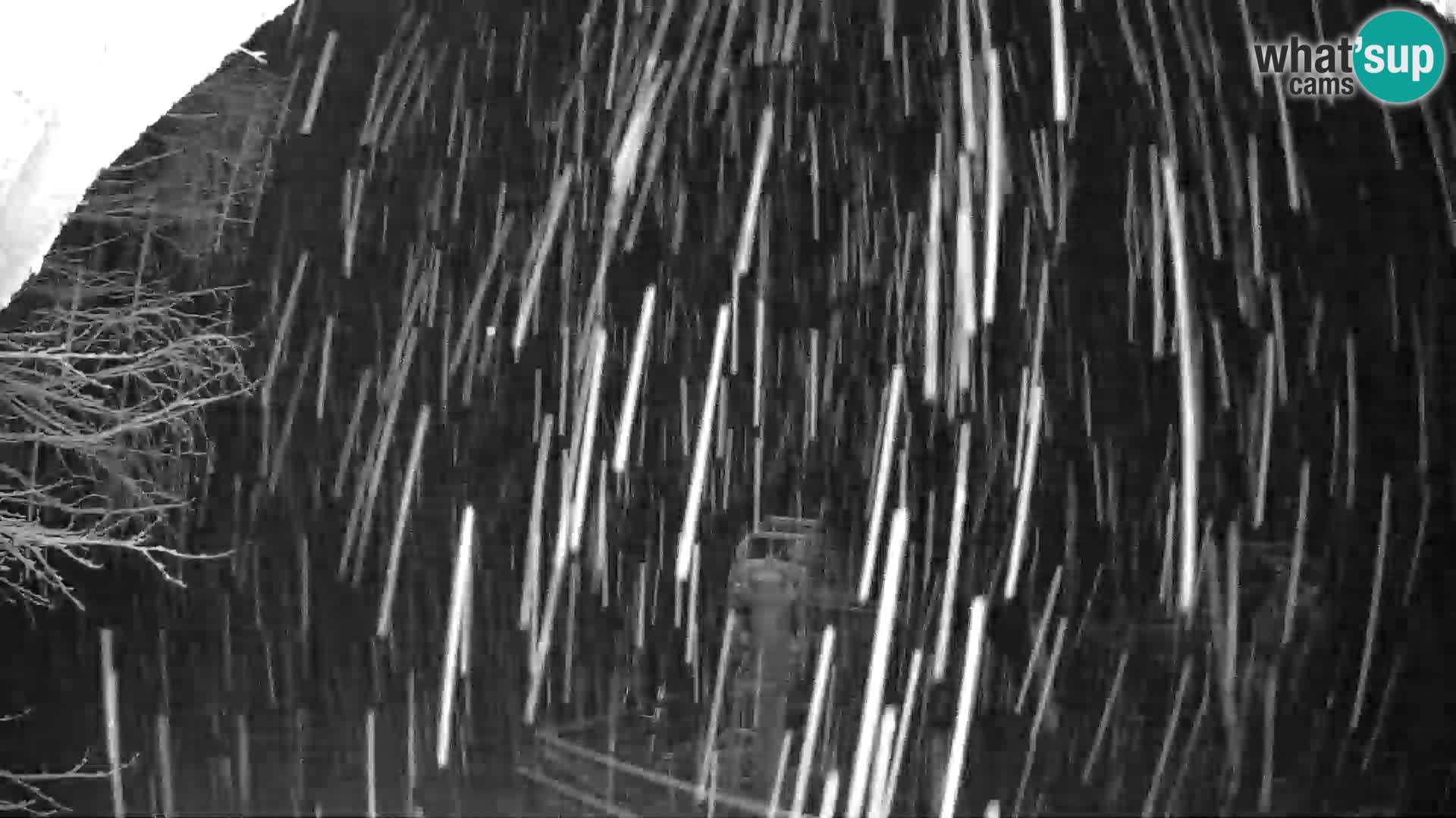 SKI Pohorje | Unterer Bahnhof Partizanka