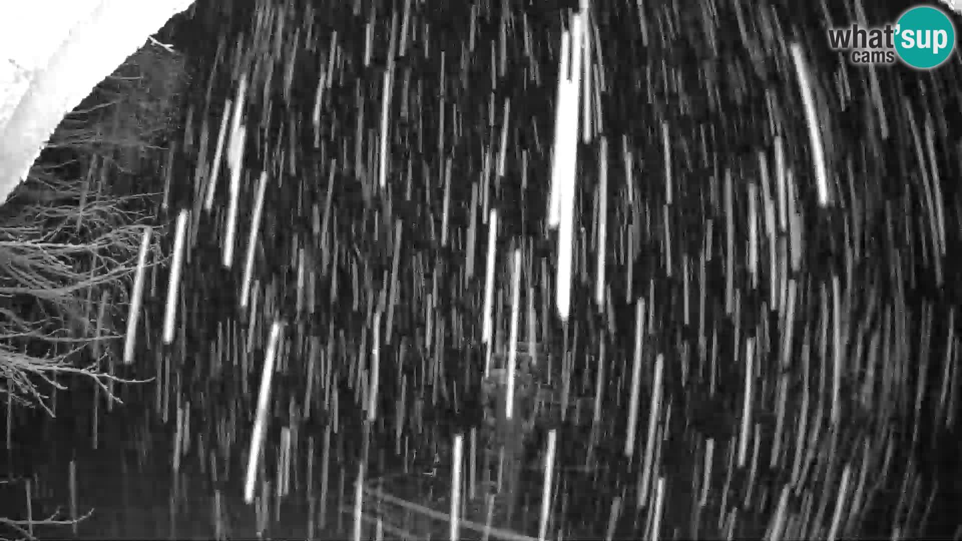 SKI Pohorje | Gare inférieure de Partizanka