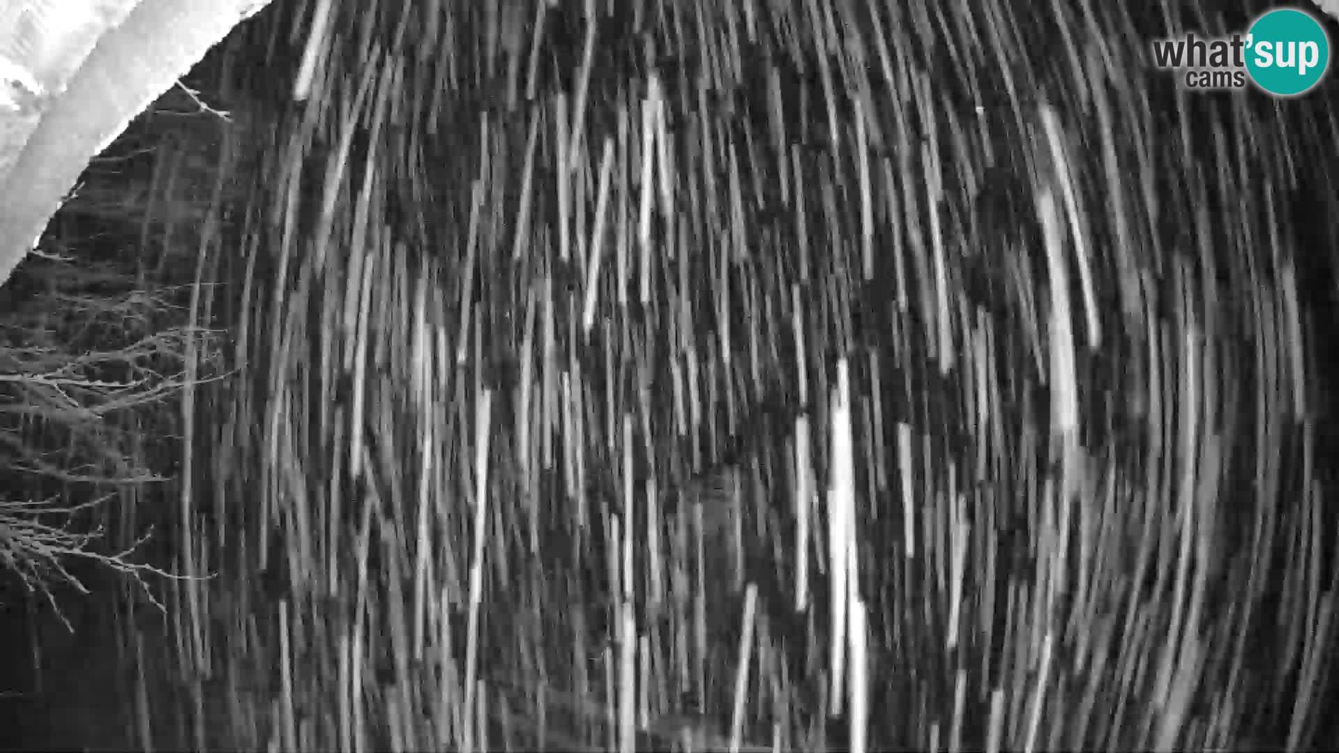 SKI Pohorje | Unterer Bahnhof Partizanka