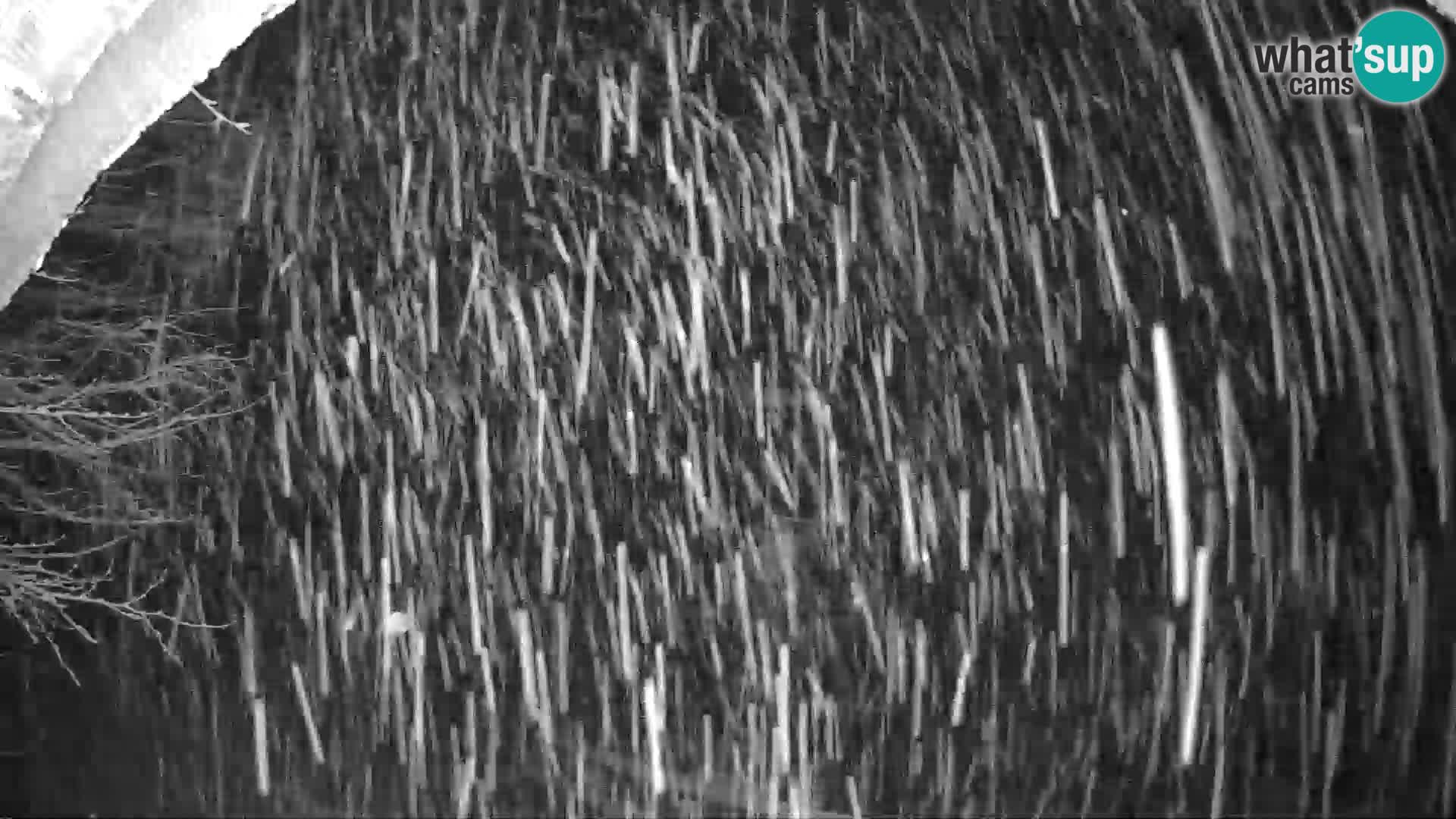 SKI Pohorje | Partizanka Lower Station