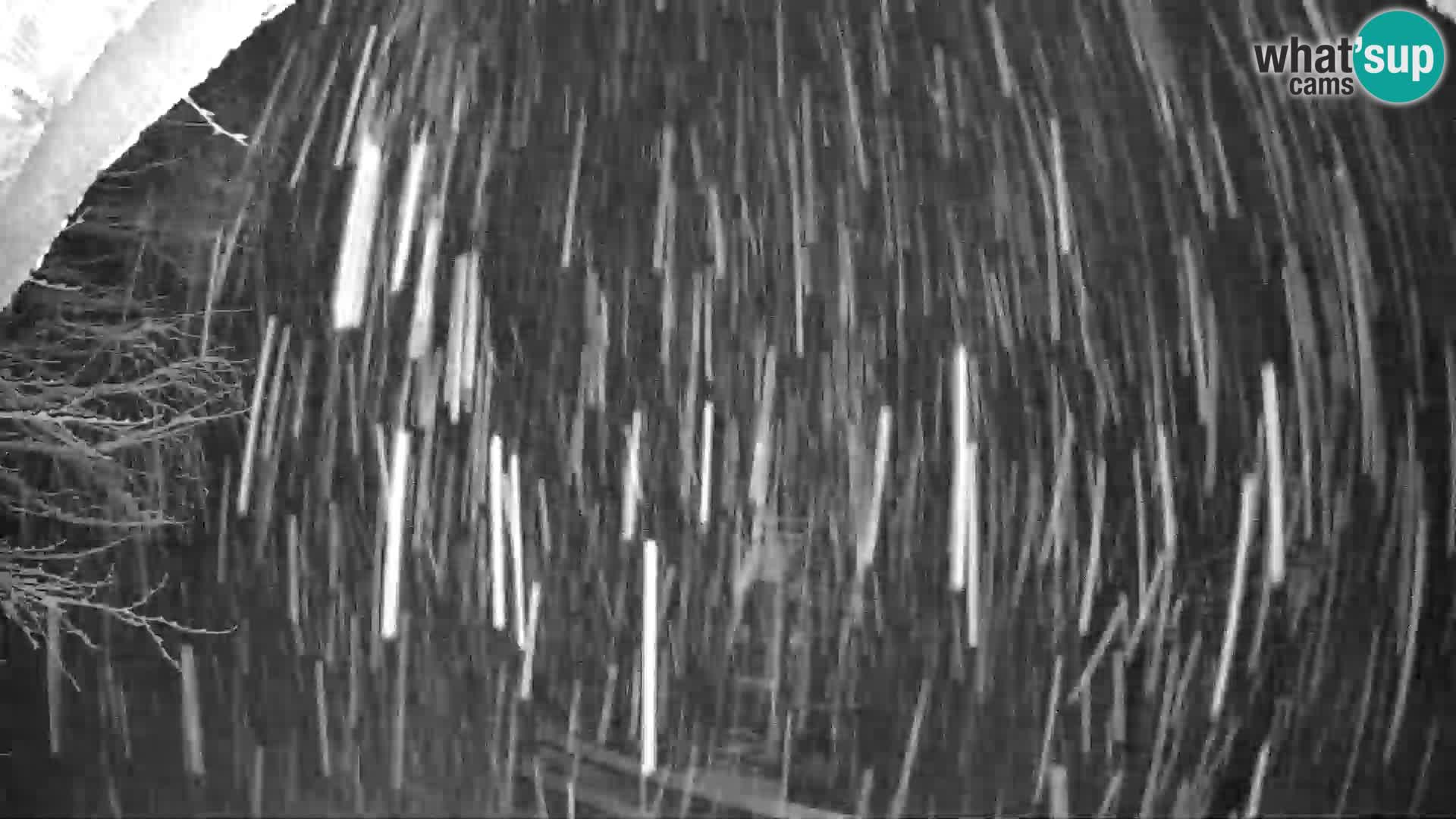 SKIJANJE Pohorje | Donja stanica Partizanka