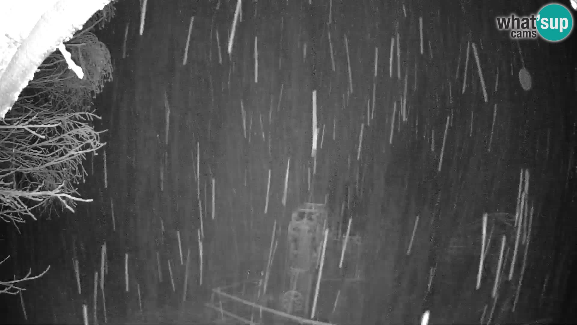 Stazione sciistica Pohorje | Stazione inferiore Partizanka