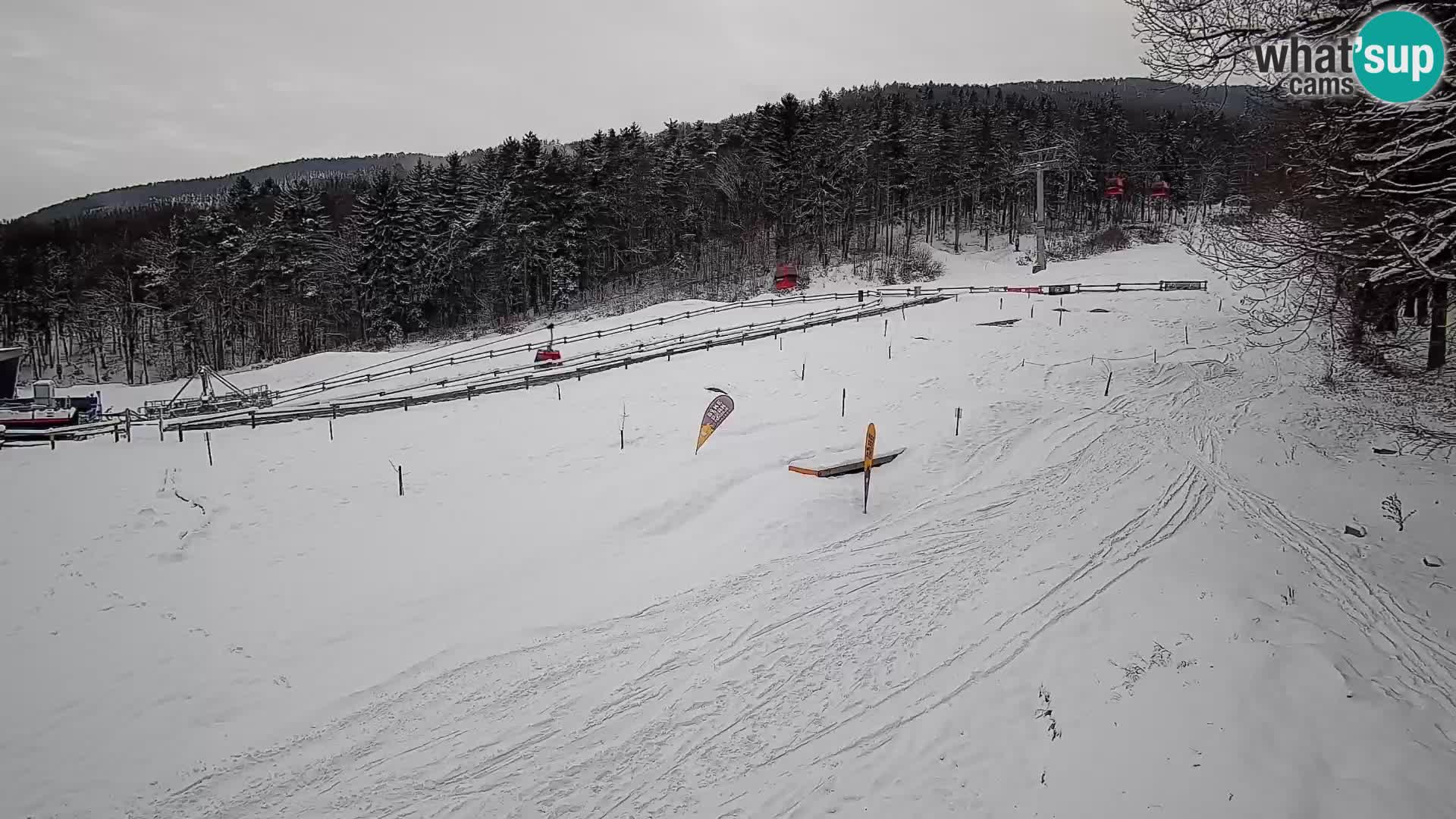 Bike Park Pohorje Maribor | KKŽ Vzpenjača – Skills park