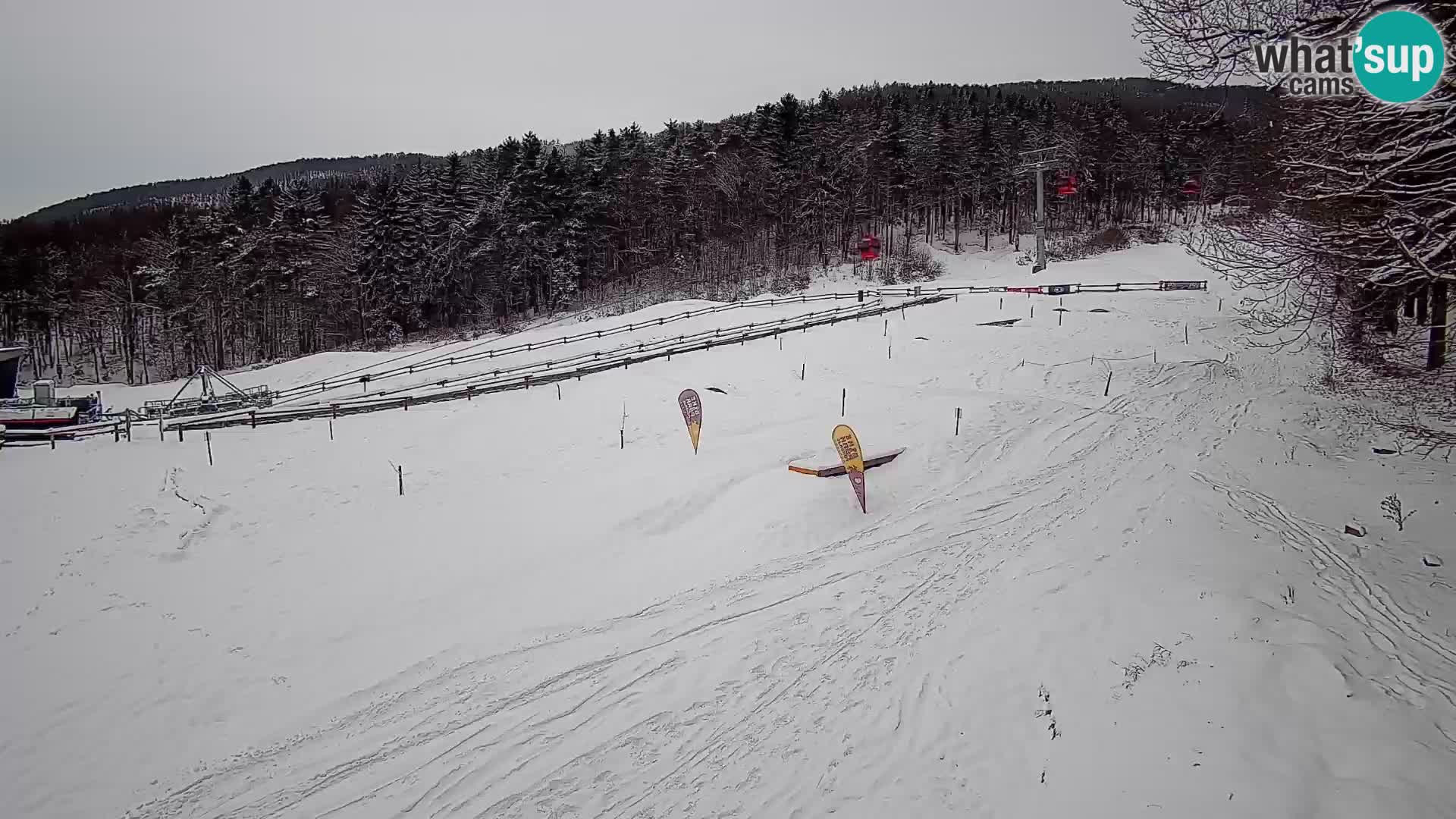 Bike Park Pohorje Maribor | KKŽ Vzpenjača – Skills park