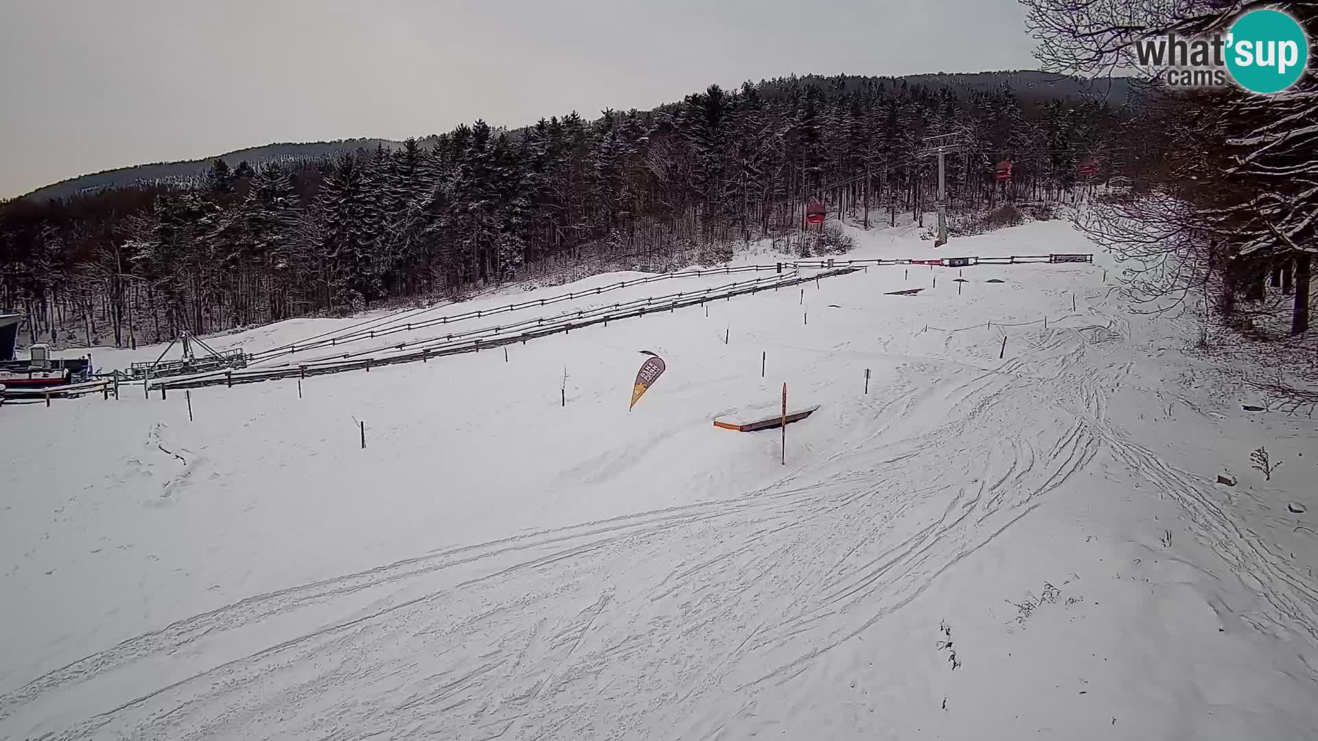 Bike Park Pohorje Maribor | KKŽ Vzpenjača – Skills park