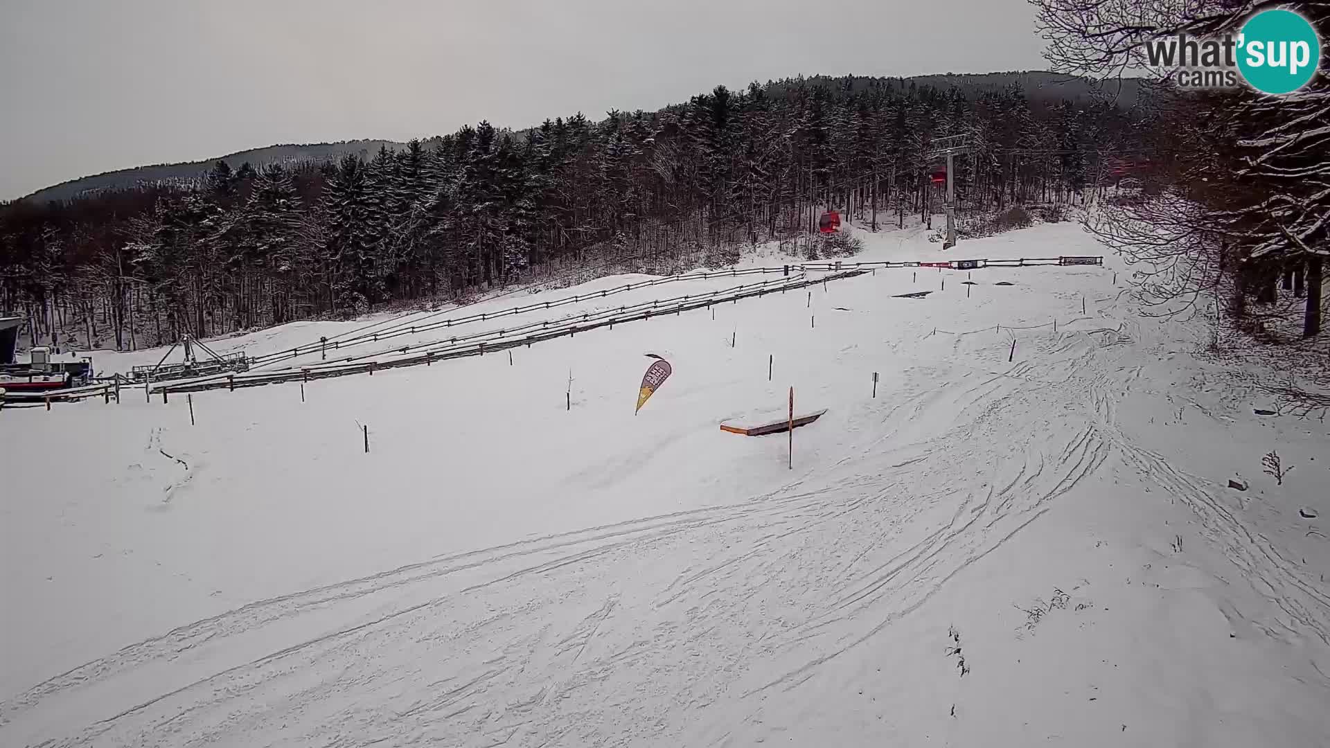 Bike Park Pohorje Maribor | KKŽ Vzpenjača – Skills park