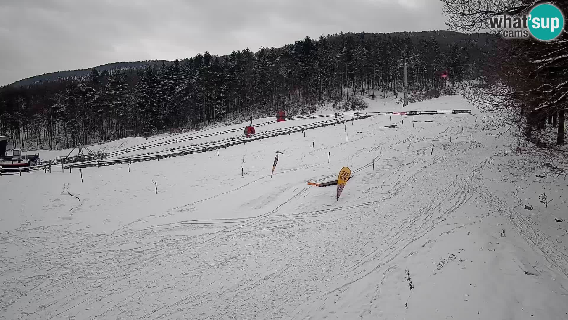 Bike Park Pohorje Maribor | KKŽ Vzpenjača – Skills park