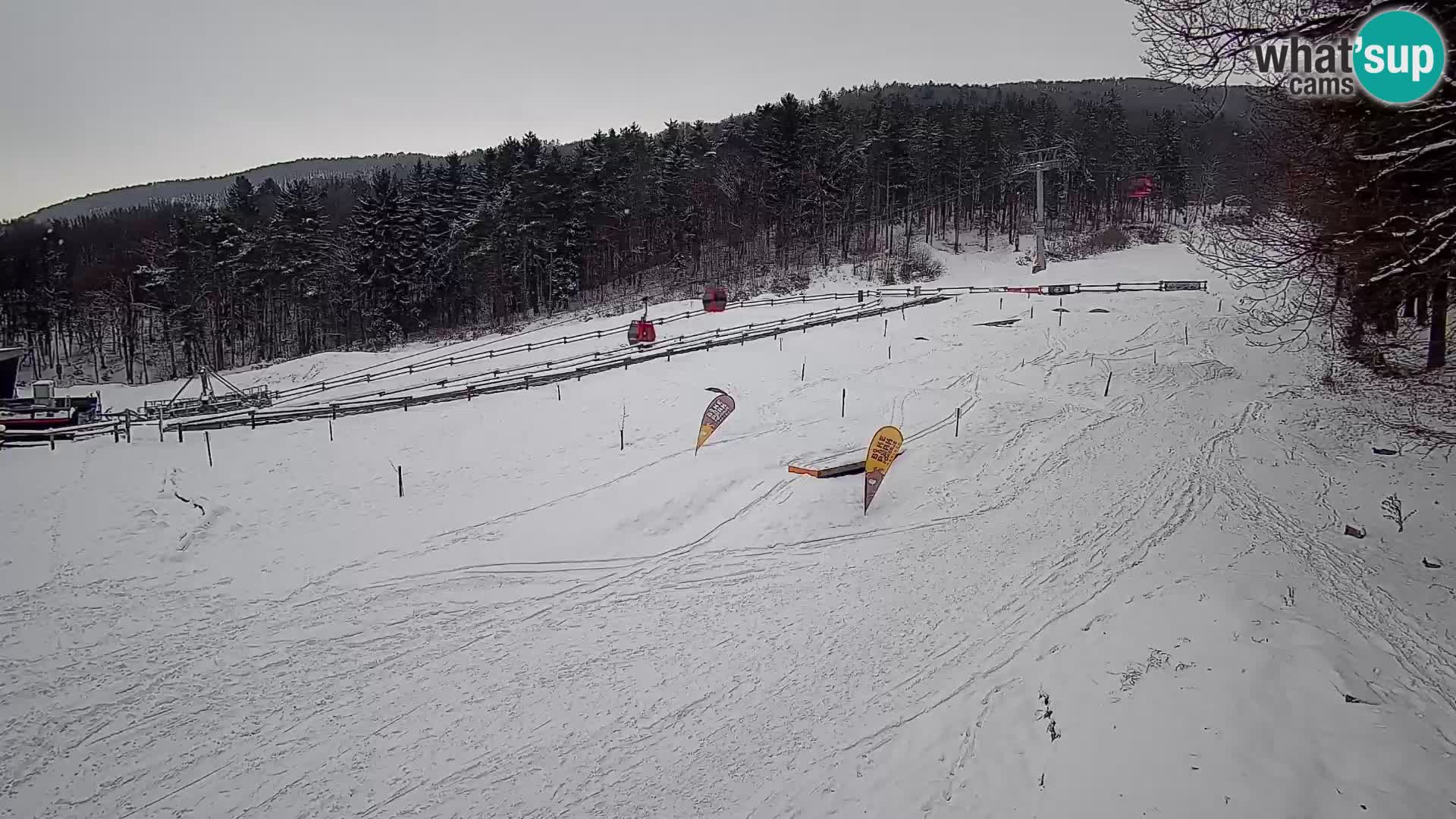 Bike Park Pohorje Maribor | KKŽ Vzpenjača – Skills park