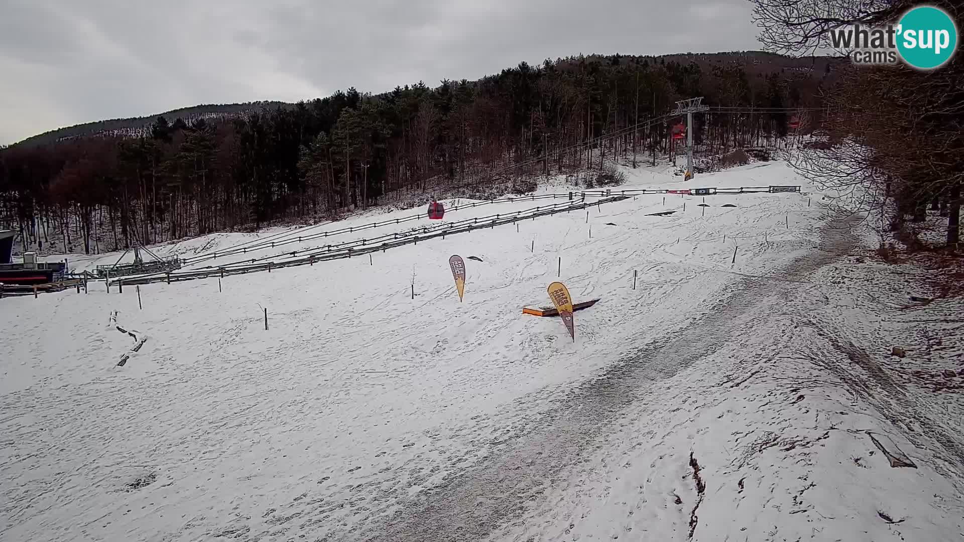 Bike Park Pohorje Maribor | KKŽ Vzpenjača – Skills park