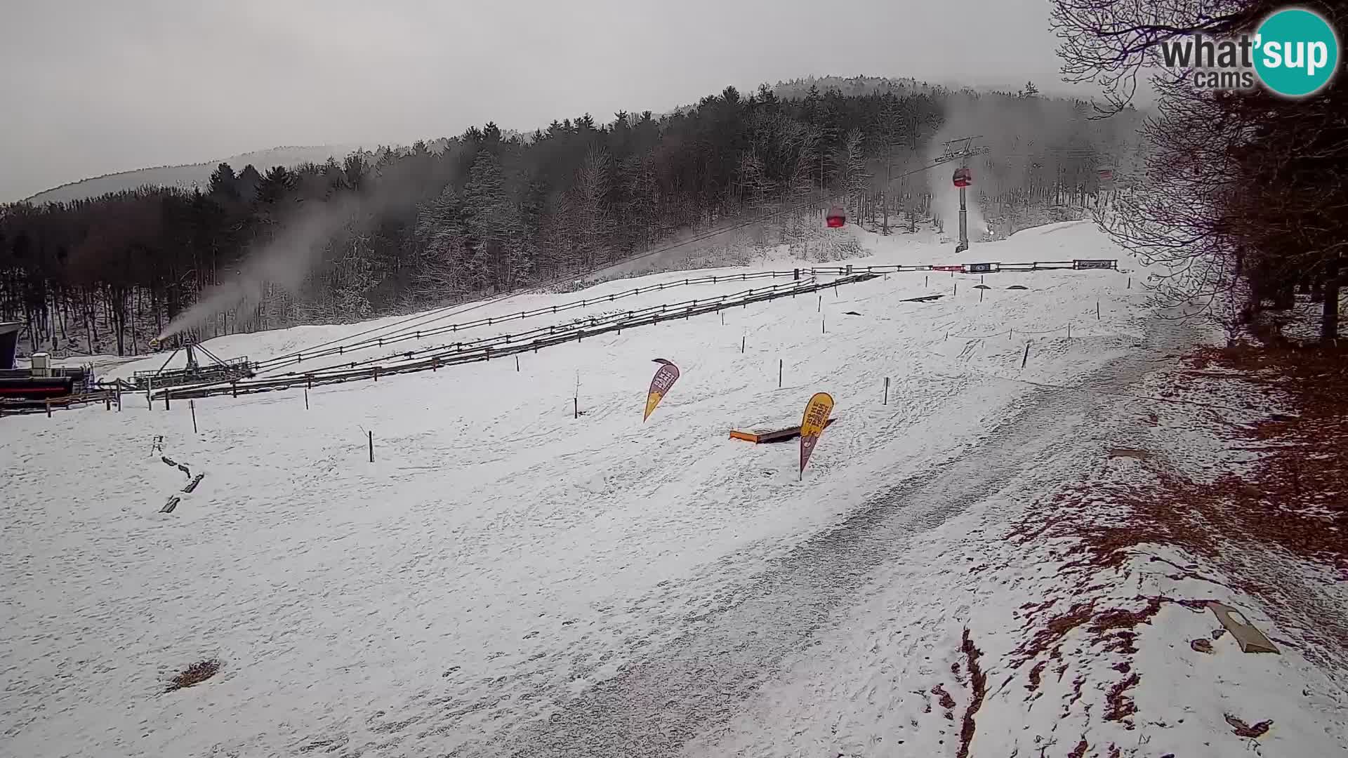 Bike Park Pohorje Maribor | KKŽ Vzpenjača – Skills park