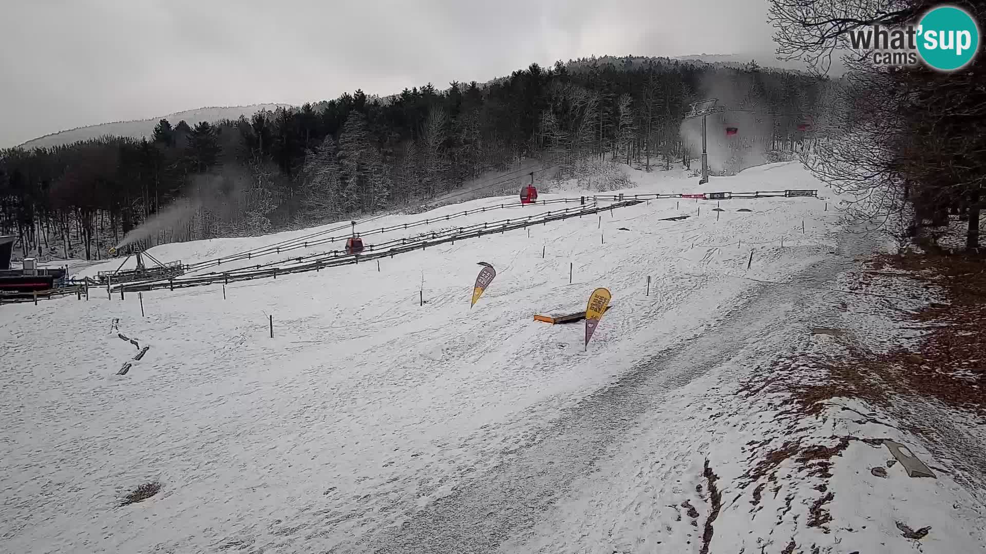 Bike Park Pohorje Maribor | KKŽ Vzpenjača – Skills park