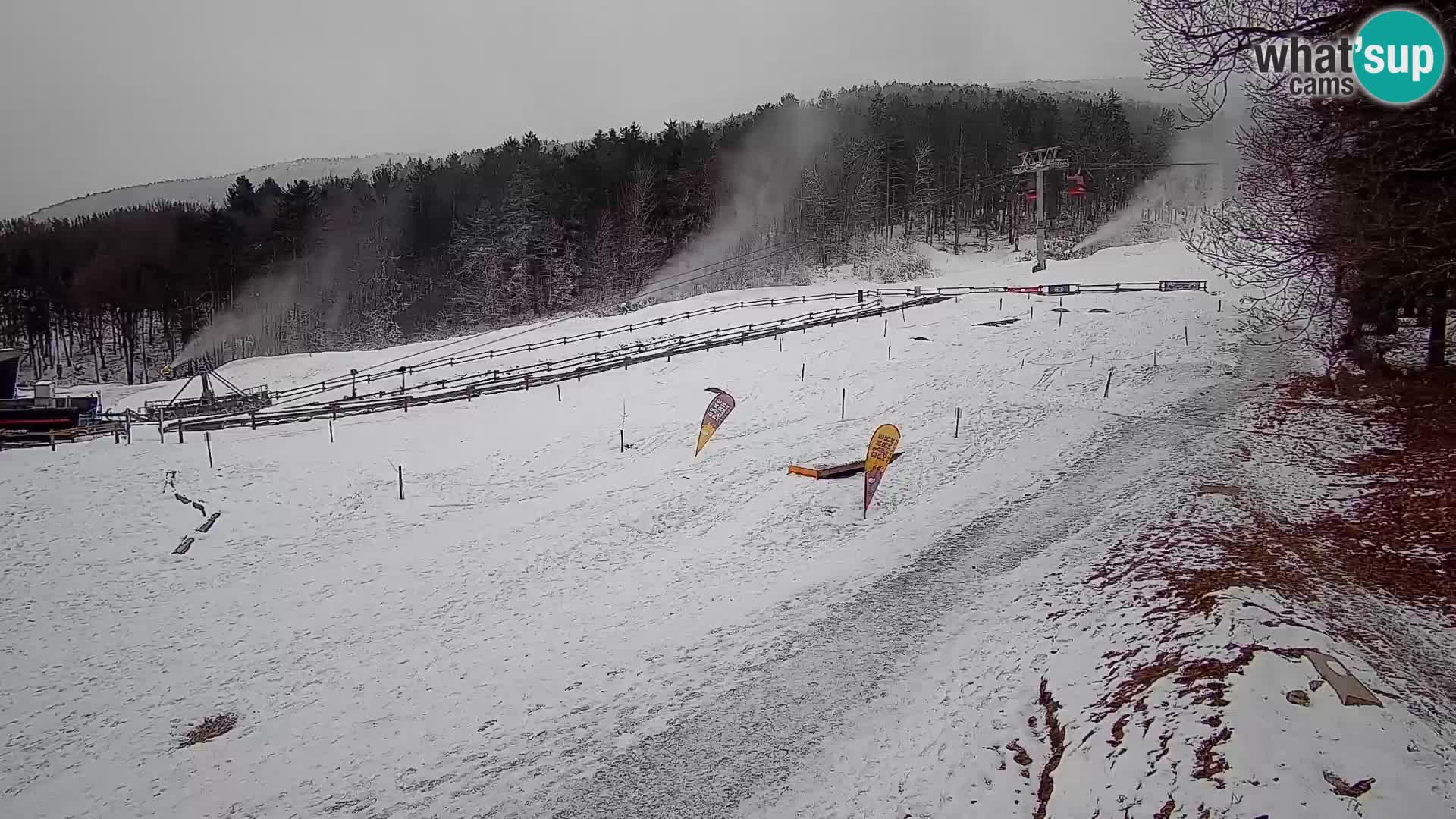 Bike Park Pohorje Maribor | KKŽ Vzpenjača – Skills park