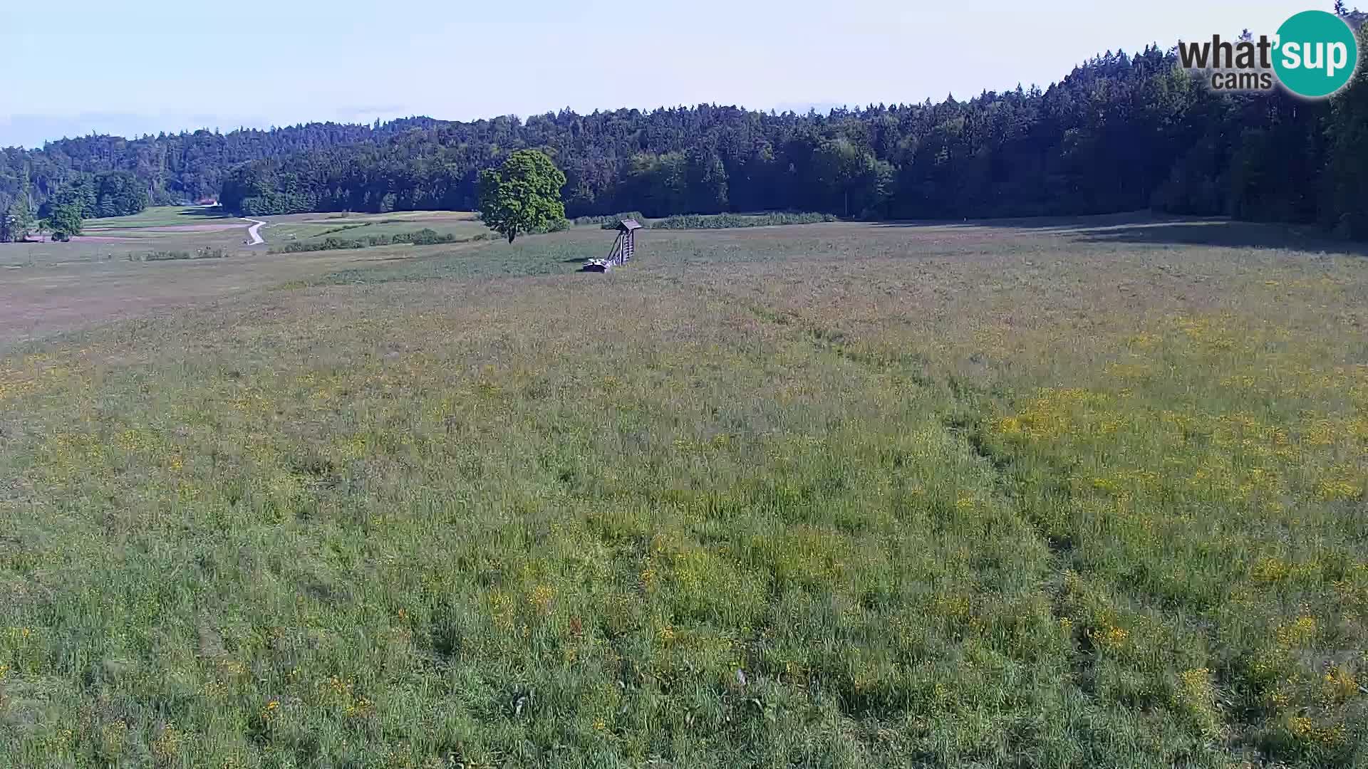 Spletna kamera Nordijski center Bonovec