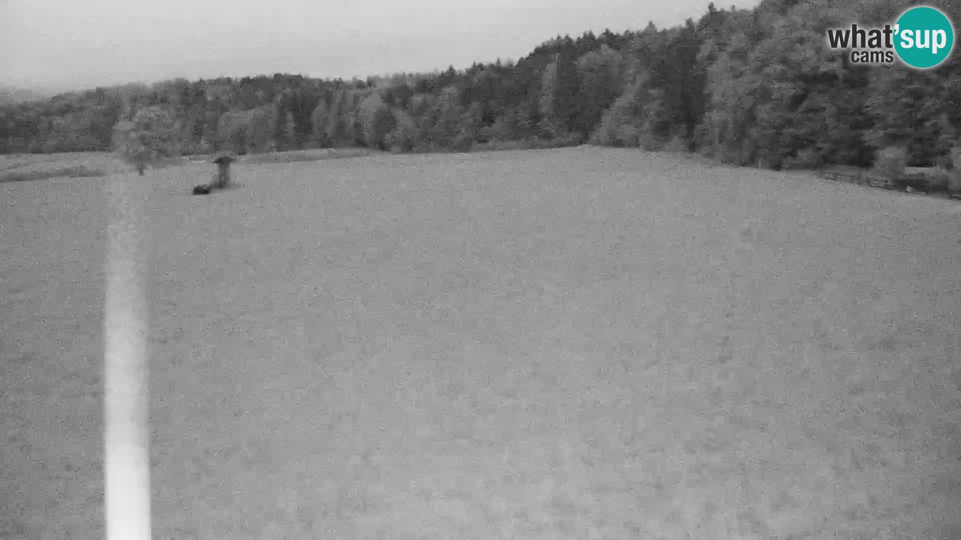 Live webcam Nordic center Bonovec – Medvode