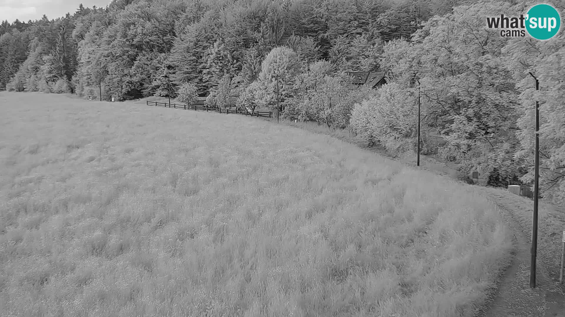 Webcam Live Nordic center Bonovec – Medvode