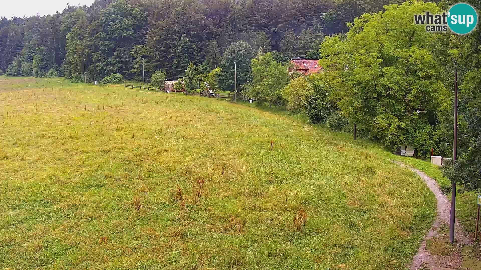 Le nordic center Bonovec – Live webcam