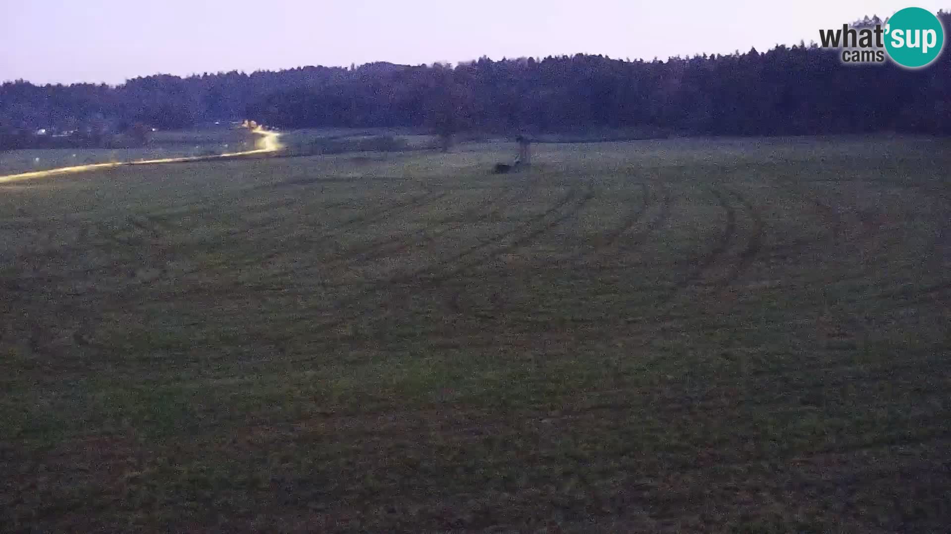 Spletna kamera Nordijski center Bonovec