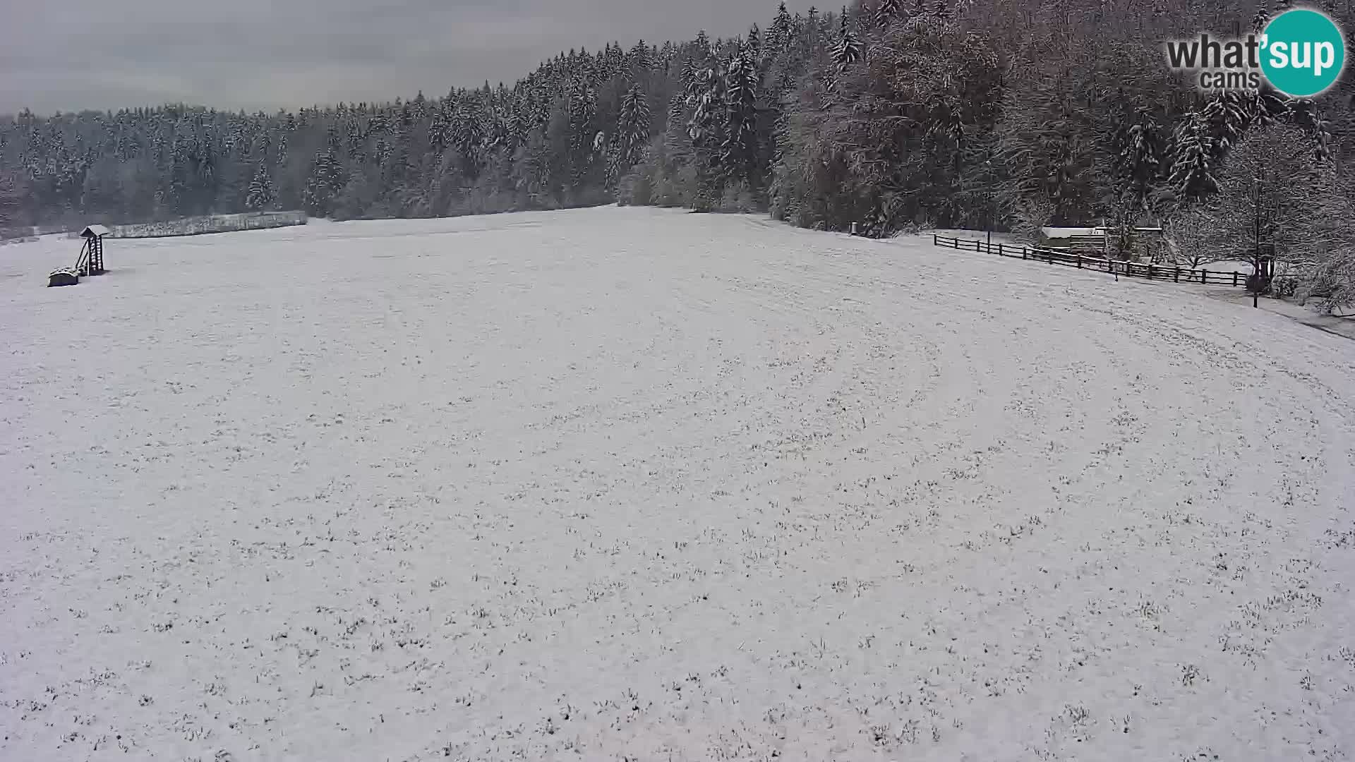 Spletna kamera Nordijski center Bonovec