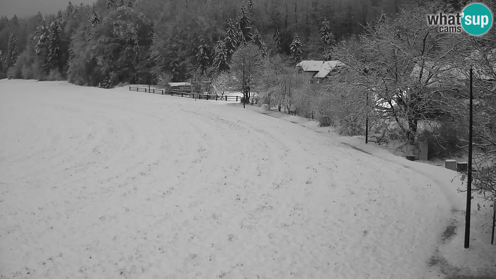 Webcam Live Nordic center Bonovec – Medvode