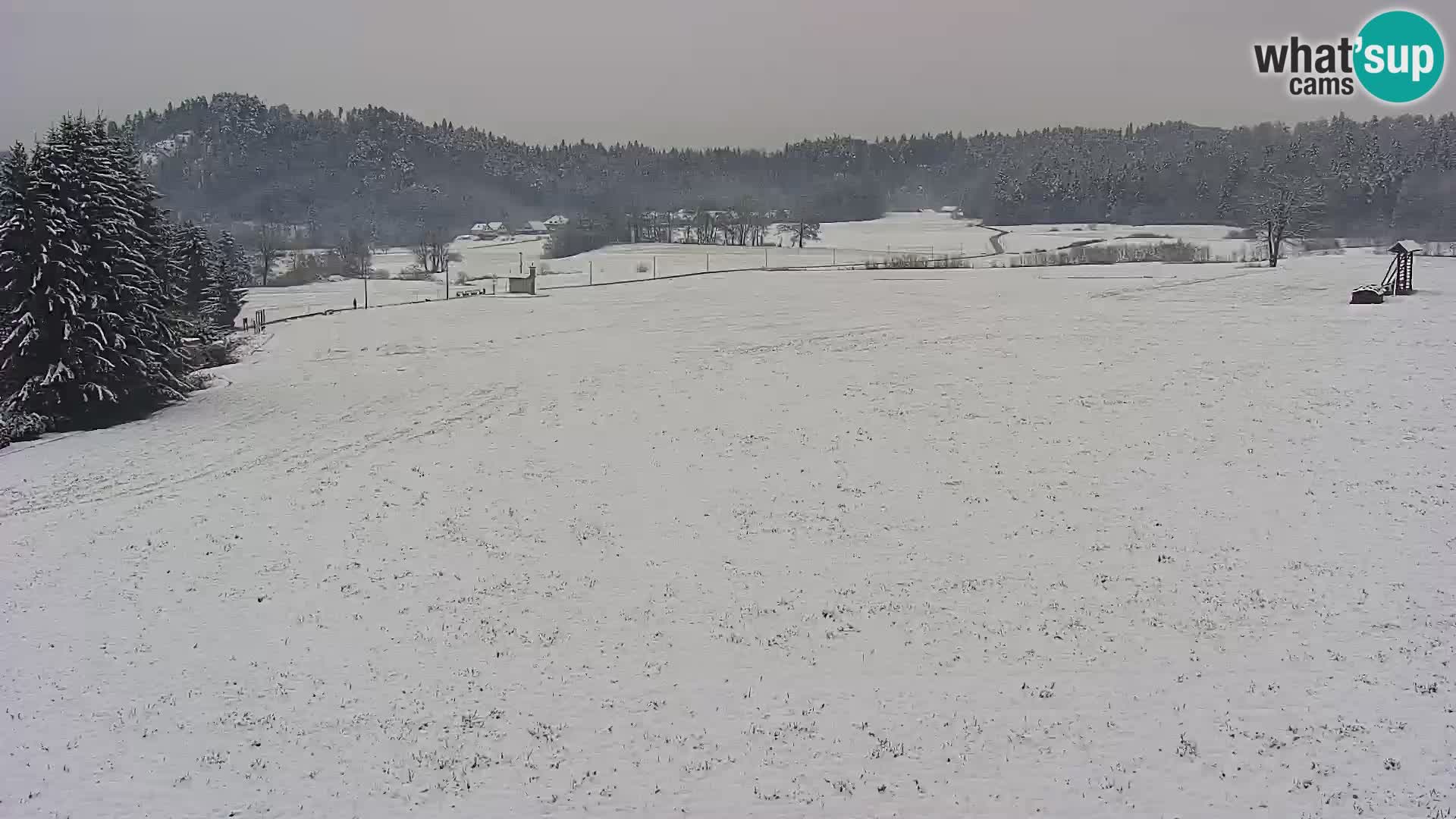 Spletna kamera Nordijski center Bonovec