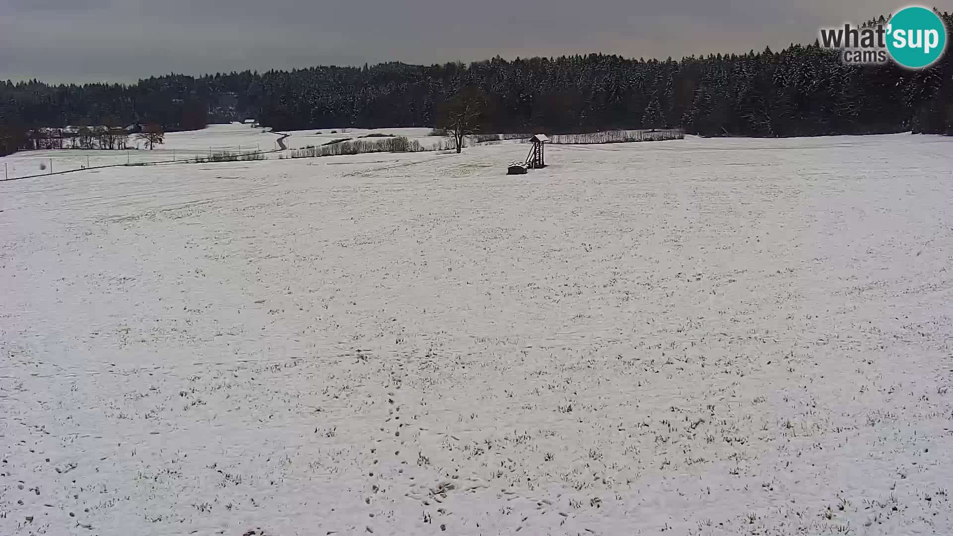 Webcam Live Nordic center Bonovec – Medvode