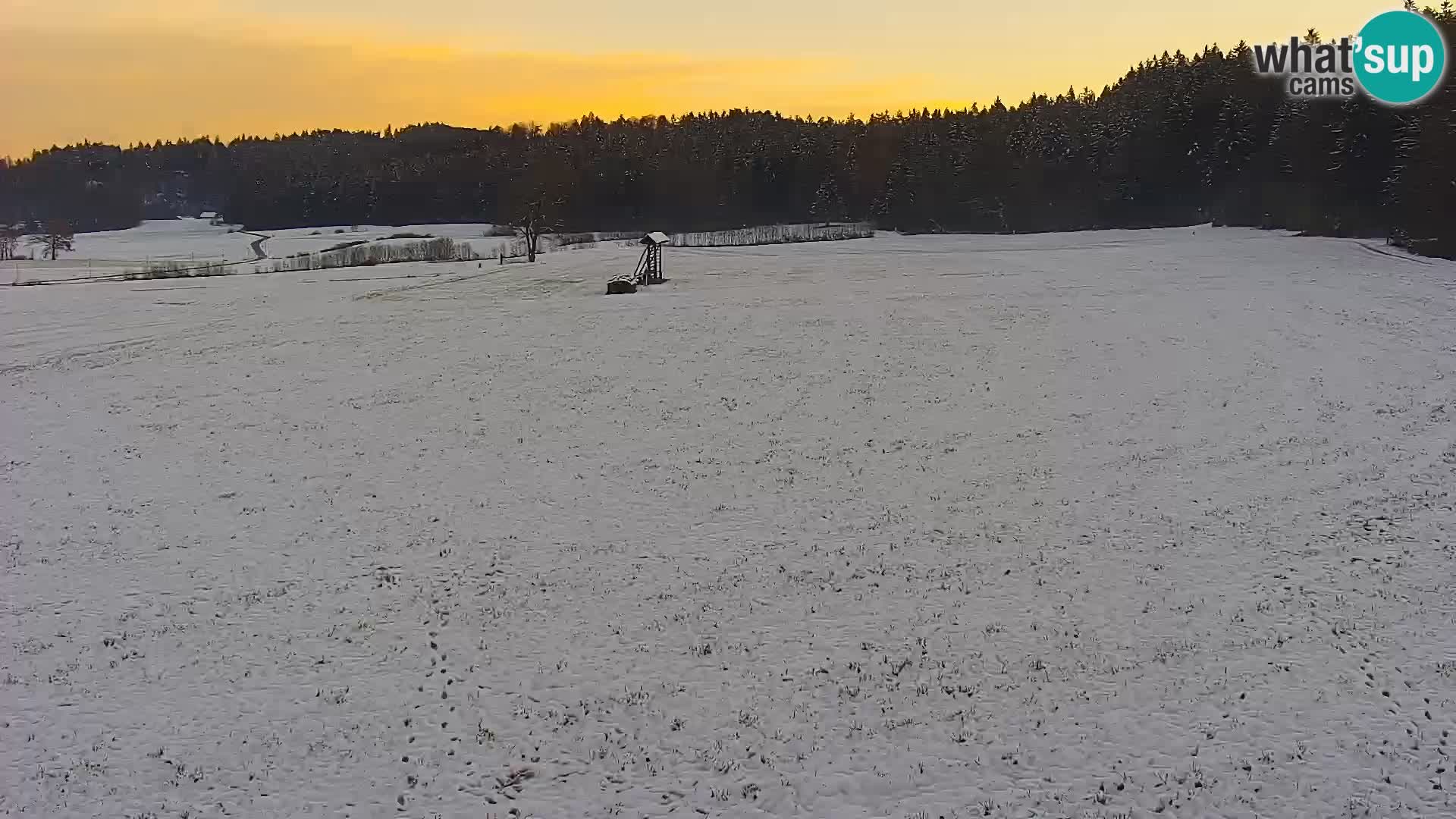 Nordic Centre Bonovec – camera en vivo