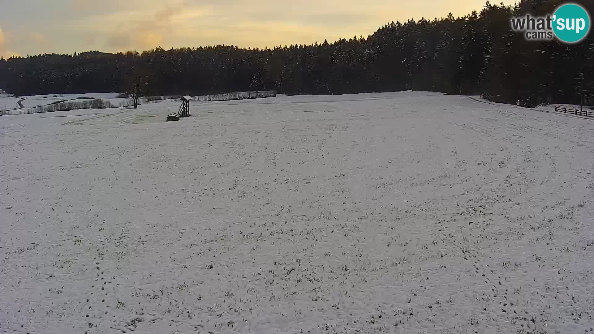 Webcam Live Nordic center Bonovec – Medvode