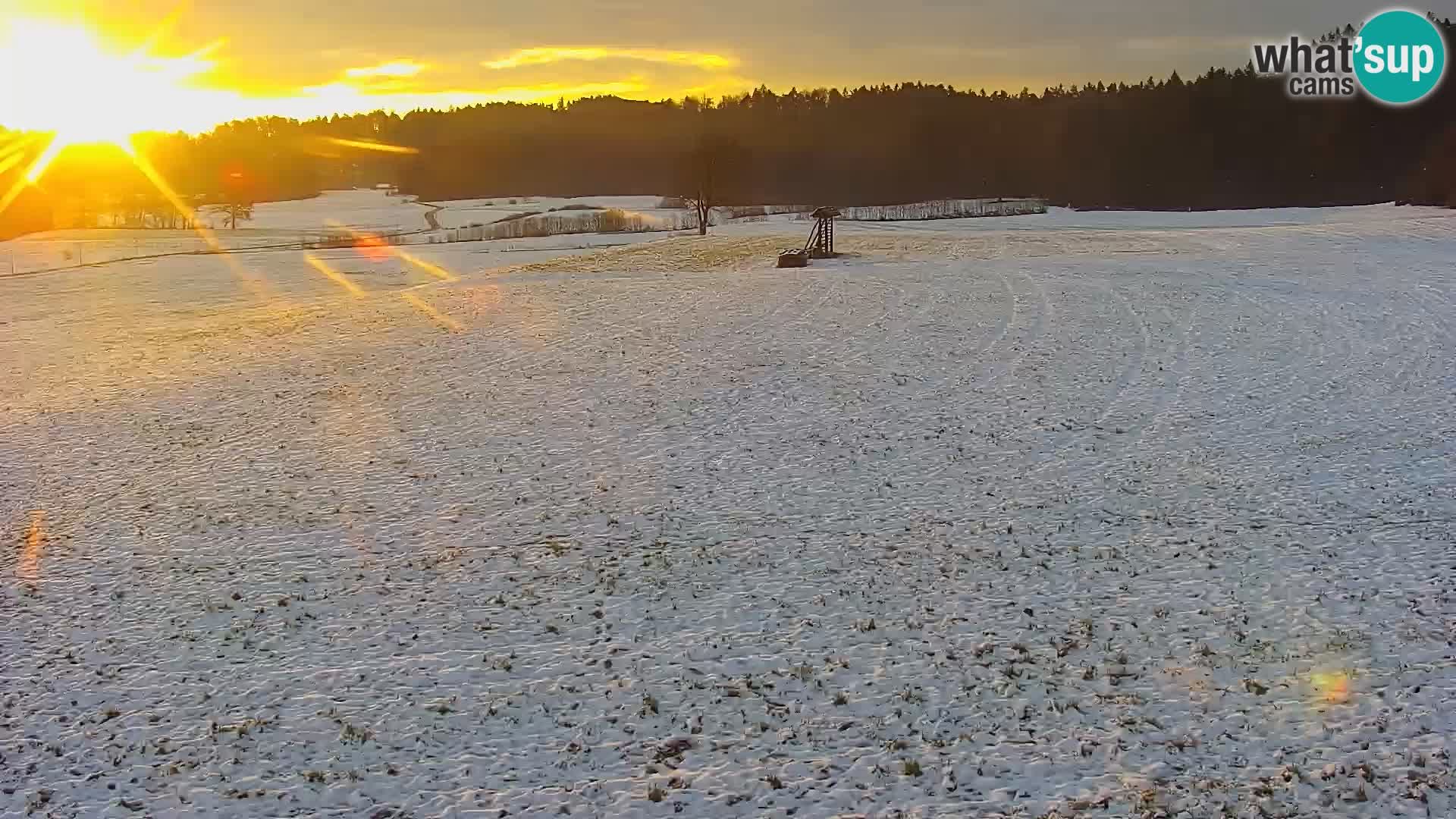 Nordic Centre Bonovec – camera en vivo